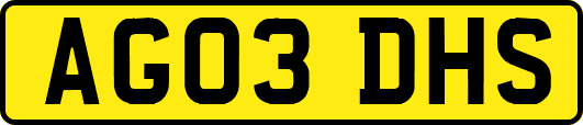 AG03DHS