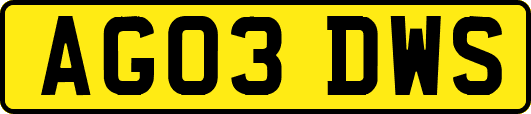 AG03DWS