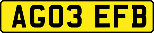 AG03EFB