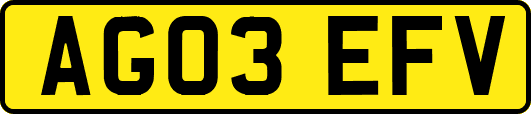 AG03EFV