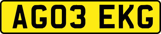 AG03EKG