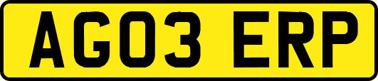 AG03ERP