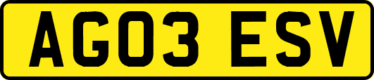 AG03ESV