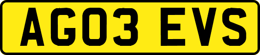 AG03EVS