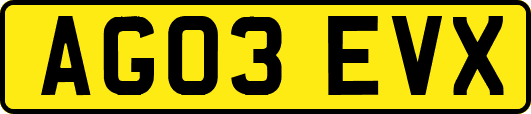 AG03EVX