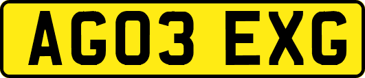 AG03EXG