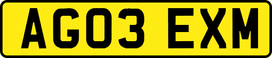 AG03EXM