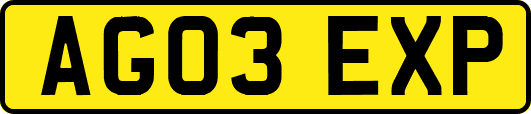 AG03EXP