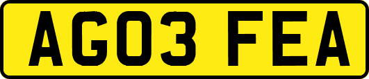 AG03FEA