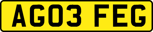 AG03FEG