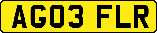 AG03FLR