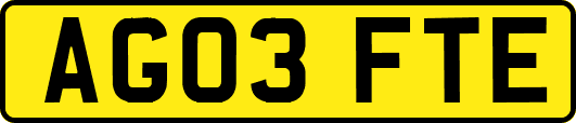 AG03FTE