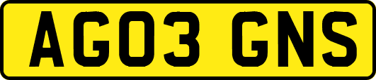 AG03GNS