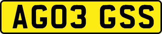 AG03GSS