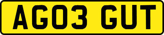 AG03GUT