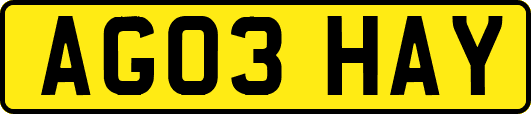 AG03HAY