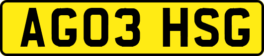 AG03HSG