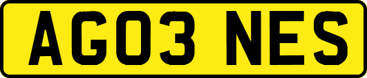 AG03NES