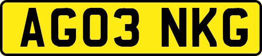 AG03NKG