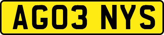 AG03NYS