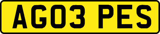 AG03PES