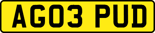 AG03PUD