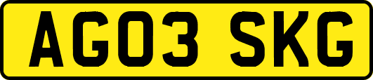 AG03SKG