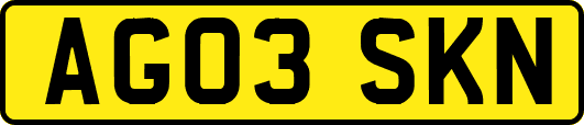 AG03SKN