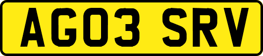 AG03SRV