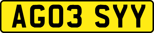 AG03SYY