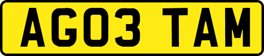 AG03TAM