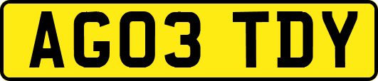 AG03TDY
