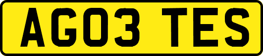 AG03TES
