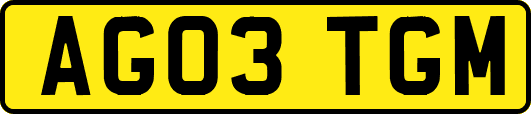 AG03TGM