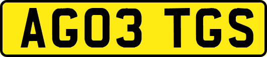 AG03TGS