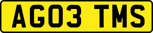 AG03TMS