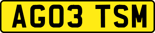 AG03TSM