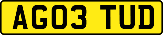 AG03TUD