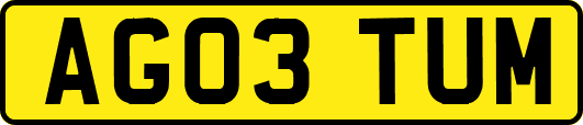 AG03TUM