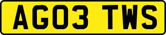 AG03TWS
