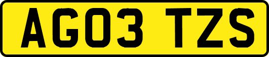 AG03TZS