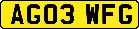 AG03WFG