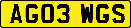 AG03WGS