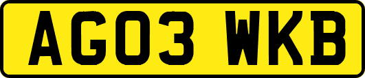 AG03WKB