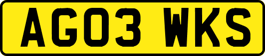 AG03WKS