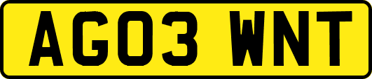 AG03WNT
