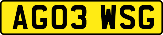 AG03WSG