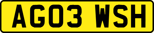 AG03WSH