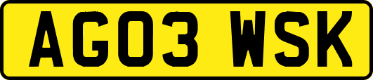 AG03WSK