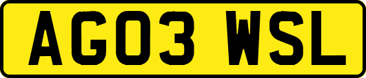 AG03WSL